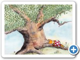 Nori sleeps in the safety of her beechnut tree
